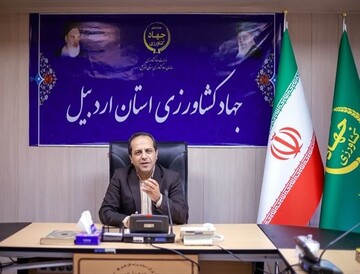 عبور تولید گندم اردبیل از مرز ۵۵۰ هزار تن/ خرید تضمینی ۲۳ هزار تن رشد کرد
