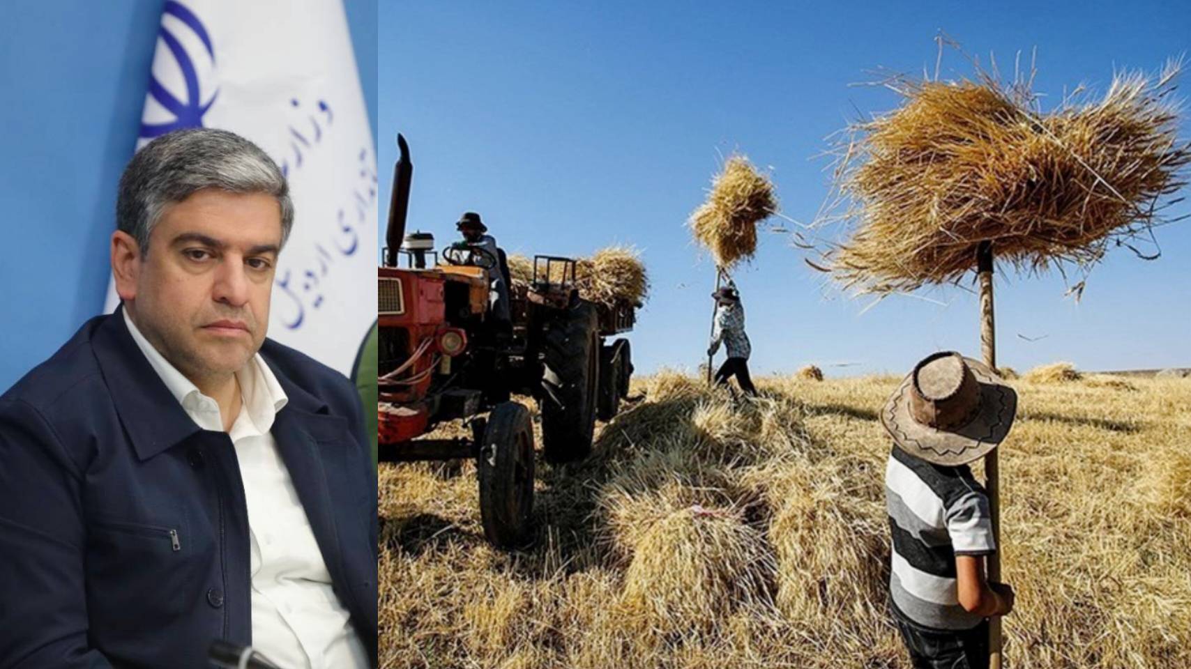 پرداخت ۶۰ درصد مطالبات گندم‌کاران اردبیل/ واریز ۳۰۰۰ میلیارد تومان در ۲ روز اخیر